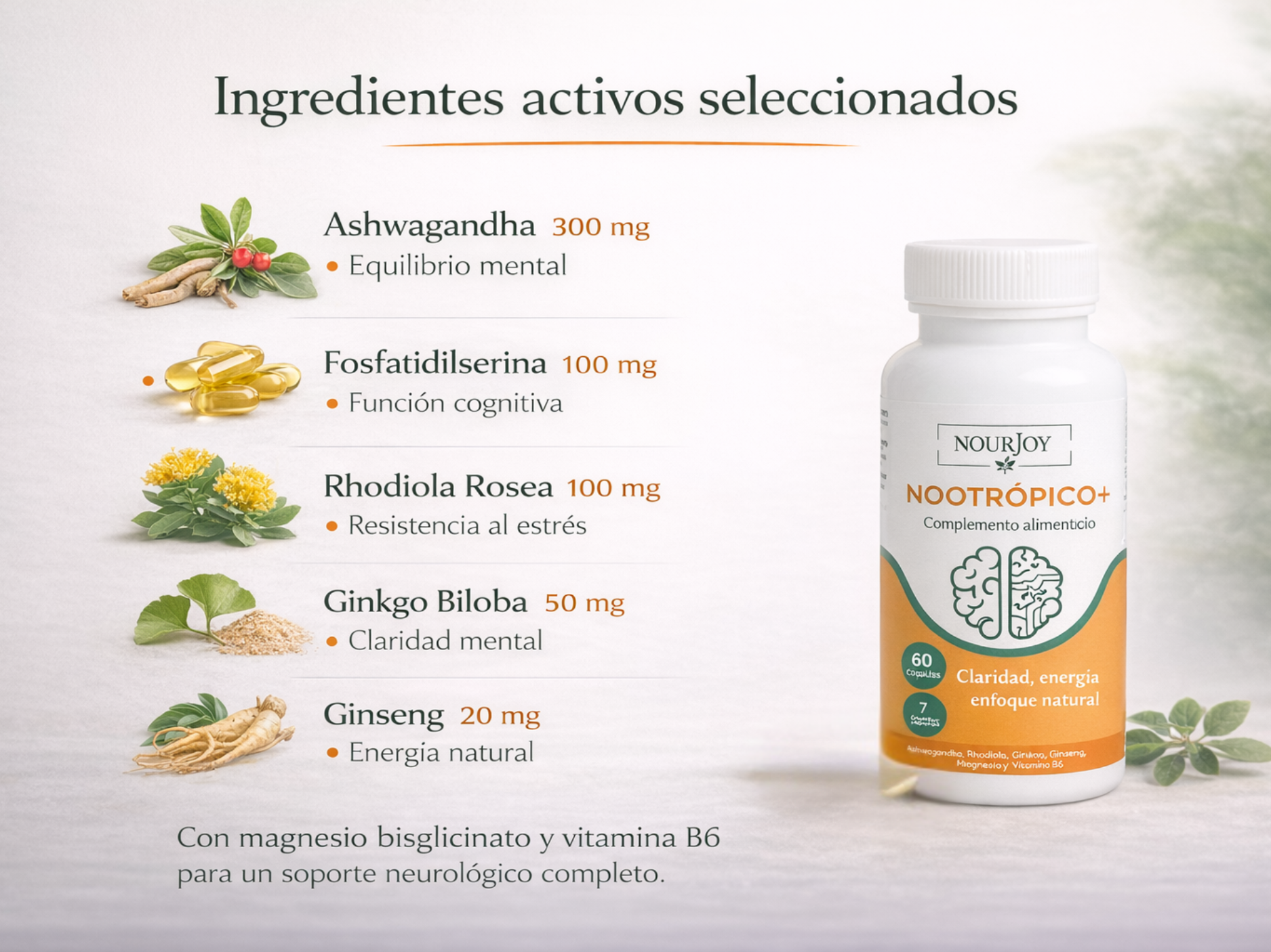 Nootrópico+ Concentración y Memoria