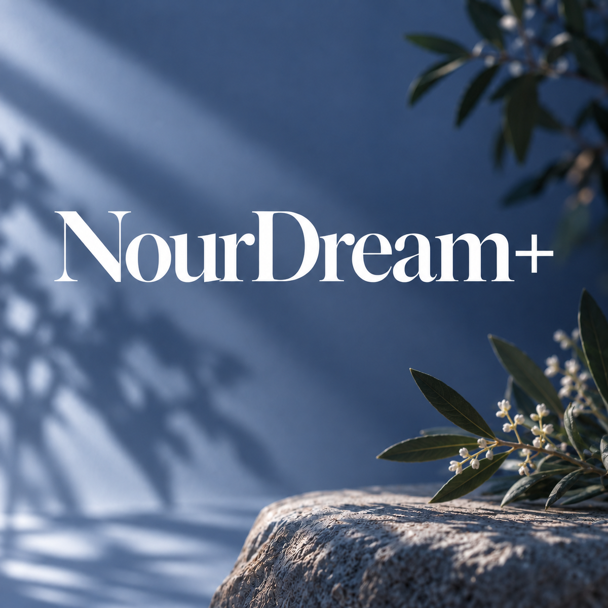 NourDream+ · 60 cápsulas