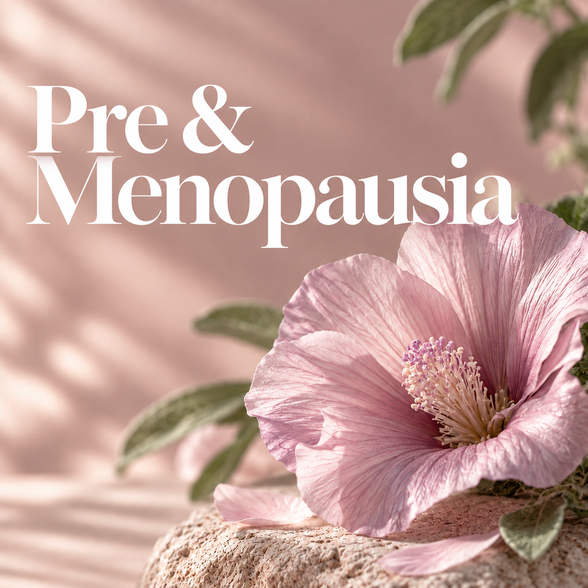PeriMenopausia & Menopausia Nourjoy