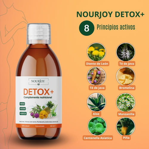 Ingredientes naturales del Detox+ de Nourjoy: piña, diente de león, abedul, té verde, alcachofa y ortosifón, seleccionados por sus propiedades drenantes y depurativas.