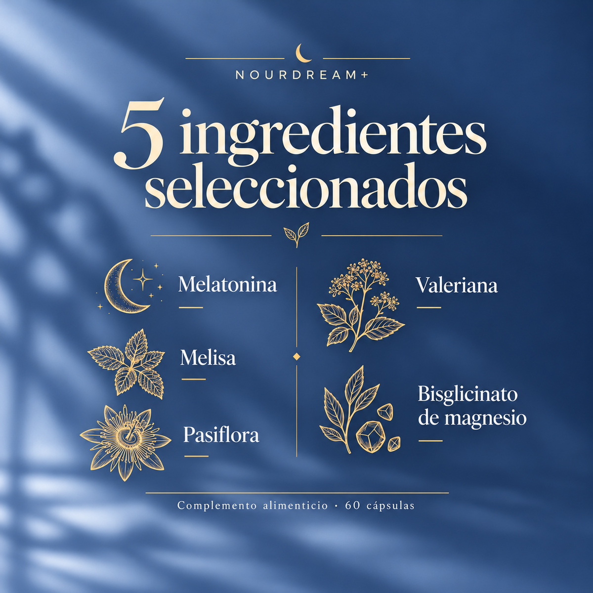 NourDream+ · 60 cápsulas