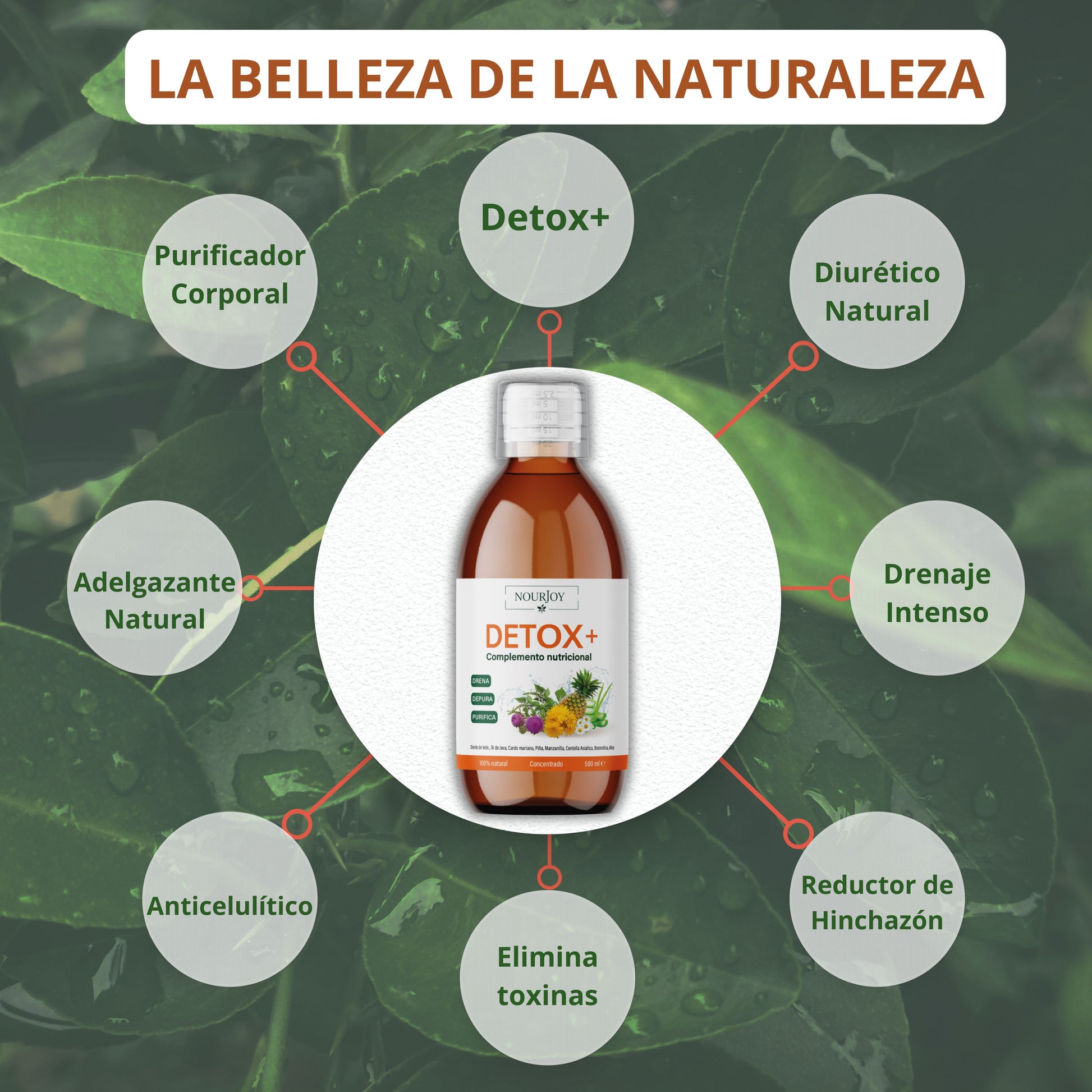 detox+, diuretico natural, drenaje intenso, reductor de hinchazón, anticelulitico, adelgazante potente natural, purificador corporal